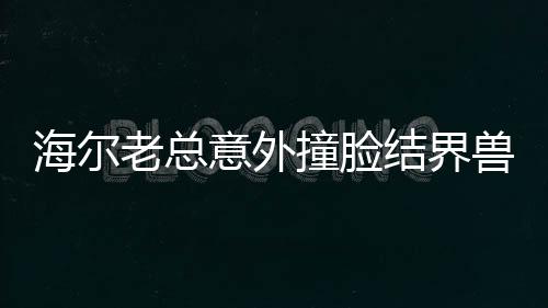 海爾老總意外撞臉結(jié)界獸，熱議背后的故事