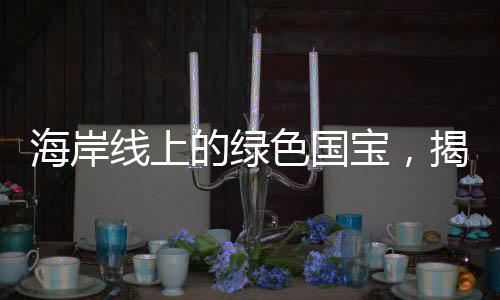 海岸線上的綠色國寶，揭示自然與文化的雙重寶藏
