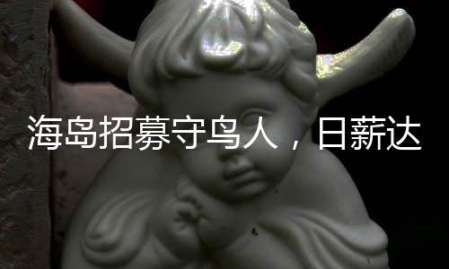 海島招募守鳥人，日薪達三百元