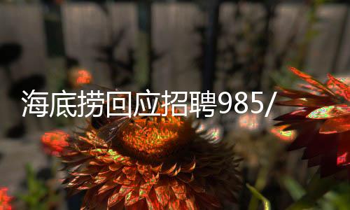 海底撈回應(yīng)招聘985/211學(xué)歷外送員一事，引發(fā)社會(huì)熱議