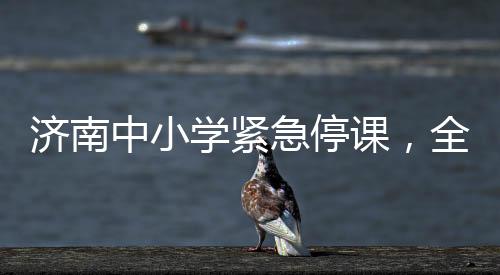 濟(jì)南中小學(xué)緊急停課，全市師生的安全與未來教育的新思考（一）