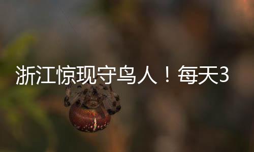 浙江驚現(xiàn)守鳥(niǎo)人！每天300元在海島??！環(huán)境優(yōu)雅有網(wǎng)絡(luò)覆蓋！神秘職業(yè)引人關(guān)注！