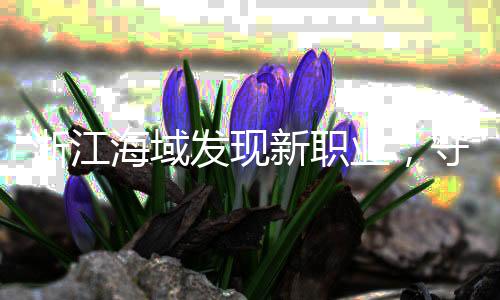 浙江海域發(fā)現(xiàn)新職業(yè)，守護(hù)鳥類的守鳥人，住海島生活每天僅需三百元
