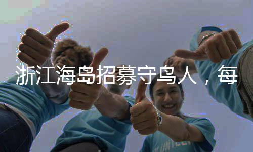 浙江海島招募守鳥人，每日收入達三百元，網(wǎng)絡(luò)覆蓋住島無憂