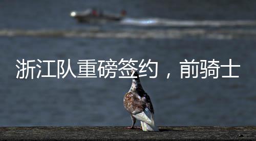 浙江隊(duì)重磅簽約，前騎士球員RJ-內(nèi)姆哈德加盟