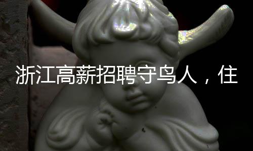 浙江高薪招聘守鳥人，住海島四個月的獨特工作體驗