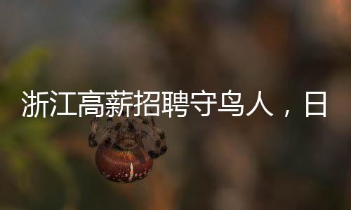 浙江高薪招聘守鳥人，日薪高達(dá)300元，需在海島居住四個月