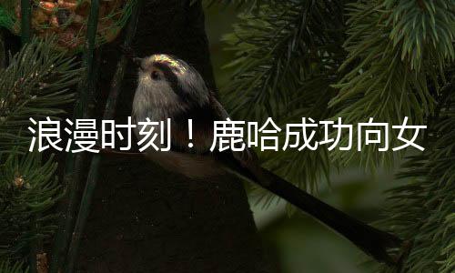 浪漫時(shí)刻！鹿哈成功向女友求婚