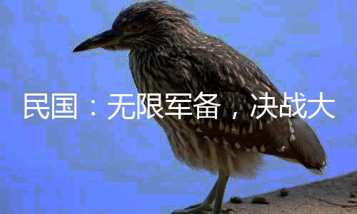 民國：無限軍備，決戰(zhàn)大滬灘