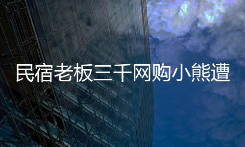 民宿老板三千網(wǎng)購小熊遭索賠3.8萬，一場意料之外的網(wǎng)絡(luò)糾紛