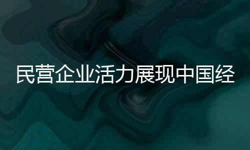 民營企業(yè)活力展現(xiàn)中國經(jīng)濟(jì)潛力，獨(dú)特視角洞悉企業(yè)增長之源