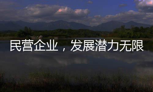 民營(yíng)企業(yè)，發(fā)展?jié)摿o(wú)限，前景廣闊光明
