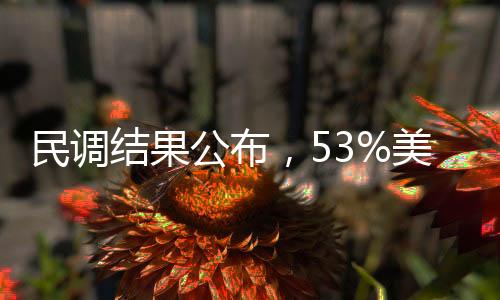 民調(diào)結(jié)果公布，53%美國(guó)人反對(duì)馬斯克擔(dān)任要職