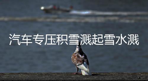 汽車專壓積雪濺起雪水濺到路人身上事件調(diào)查與觀察