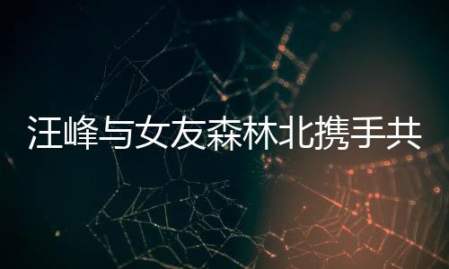 汪峰與女友森林北攜手共創(chuàng)事業(yè)新篇章——合開公司揭秘