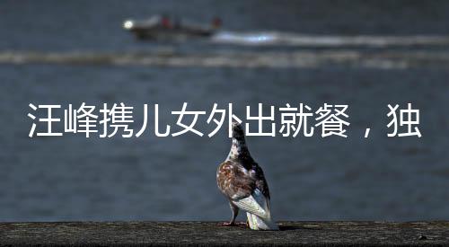 汪峰攜兒女外出就餐，獨(dú)缺女友身影引關(guān)注——溫馨家庭時(shí)刻見證父愛如山