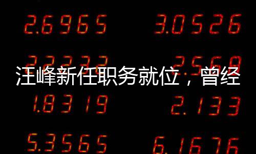 汪峰新任職務(wù)就位，曾經(jīng)審理湄公河慘案主犯