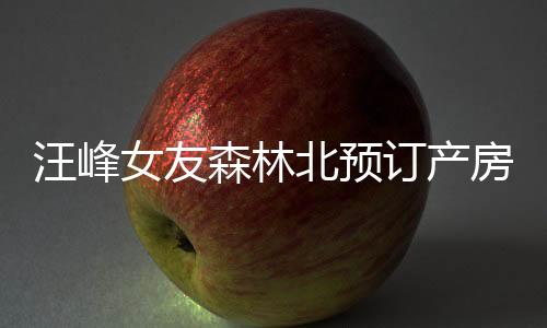 汪峰女友森林北預(yù)訂產(chǎn)房，引發(fā)各界熱議