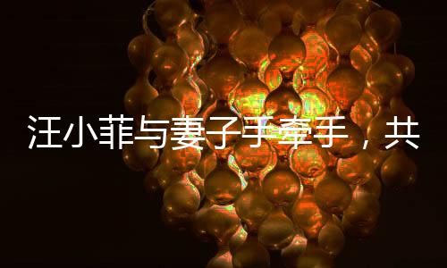 汪小菲與妻子手牽手，共同走出陰霾
