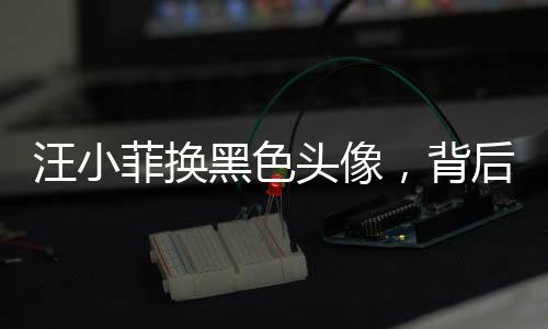 汪小菲換黑色頭像，背后有何深意？