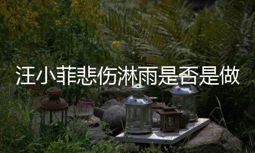 汪小菲悲傷淋雨是否是做戲？三方抨擊引發(fā)爭議