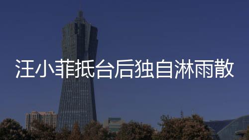 汪小菲抵臺后獨(dú)自淋雨散步，引發(fā)關(guān)注熱議