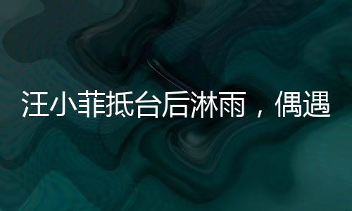 汪小菲抵臺后淋雨，偶遇天氣不佳，展現(xiàn)堅韌精神