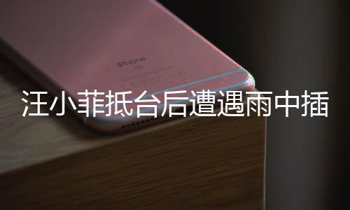 汪小菲抵臺(tái)后遭遇雨中插曲
