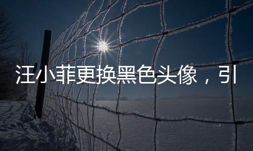 汪小菲更換黑色頭像，引發(fā)網(wǎng)友熱議