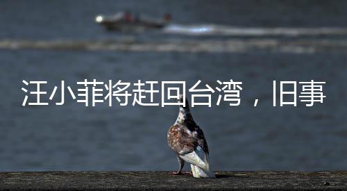 汪小菲將趕回臺灣，舊事重現(xiàn)，矚目熱點(diǎn)新聞揭秘
