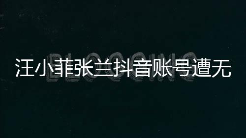 汪小菲張?zhí)m抖音賬號(hào)遭無(wú)限期封禁，事件背后引發(fā)深思