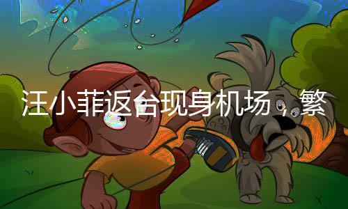 汪小菲返臺現(xiàn)身機場，繁忙行程中的溫馨歸途