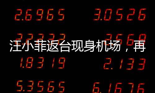 汪小菲返臺現(xiàn)身機(jī)場，再度回歸引發(fā)關(guān)注熱潮