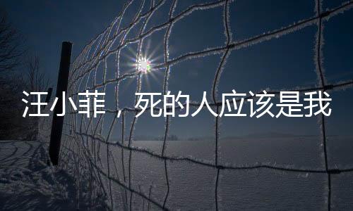 汪小菲，死的人應(yīng)該是我——深度解析背后的故事與情感糾葛
