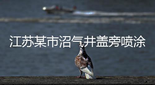 江蘇某市沼氣井蓋旁噴涂警示標(biāo)志，提升安全，減少風(fēng)險(xiǎn)