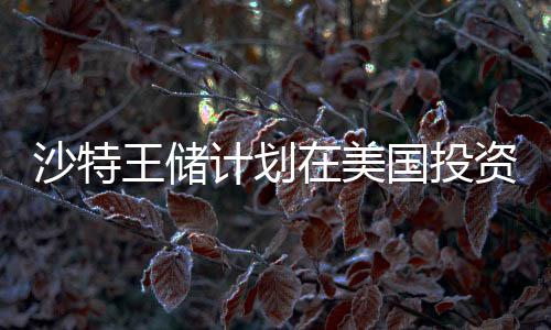 沙特王儲(chǔ)計(jì)劃在美國投資高達(dá)6000億美元，全球金融新動(dòng)向解析