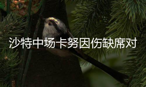 沙特中場卡努因傷缺席對陣中國，球迷的遺憾與期待