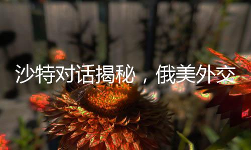 沙特對話揭秘，俄美外交角逐背后究竟談些什么？并無烏克蘭議題