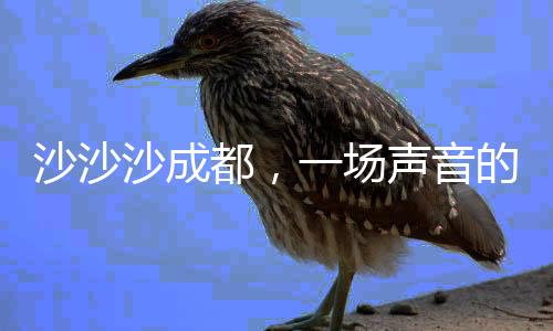 沙沙沙成都，一場聲音的盛宴，一次城市的脈動