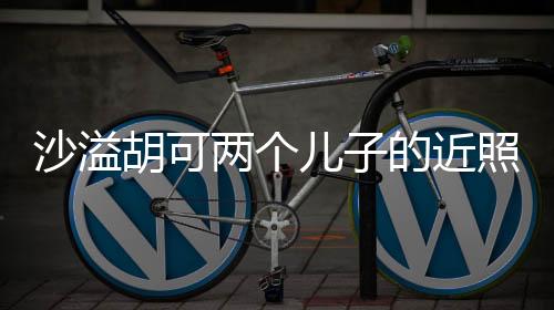 沙溢胡可兩個兒子的近照，家庭幸福展現(xiàn)