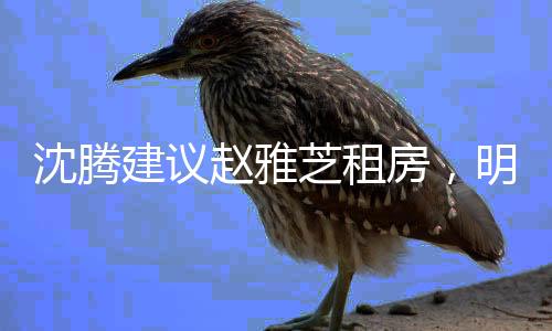 沈騰建議趙雅芝租房，明星置業(yè)觀的新思考