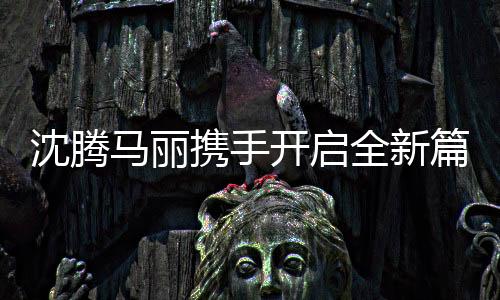 沈騰馬麗攜手開啟全新篇章——探尋他們的新身份與未來展望