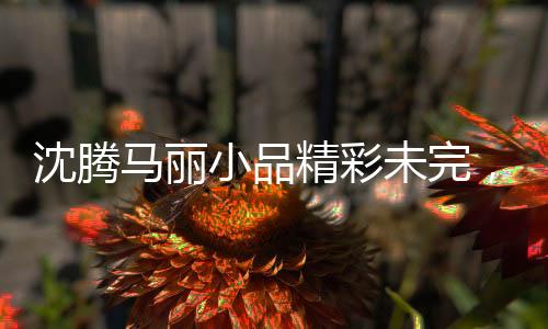 沈騰馬麗小品精彩未完，觀眾期待繼續(xù)