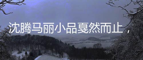 沈騰馬麗小品戛然而止，觀眾疑惑背后原因揭曉