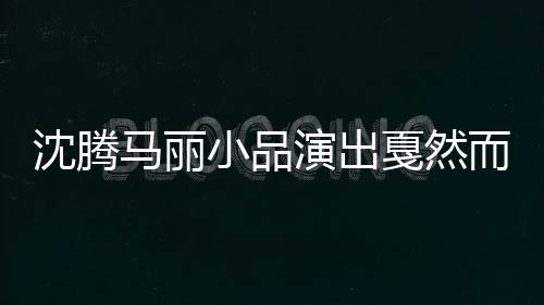沈騰馬麗小品演出戛然而止，引發(fā)觀眾熱議，究竟是怎么回事？
