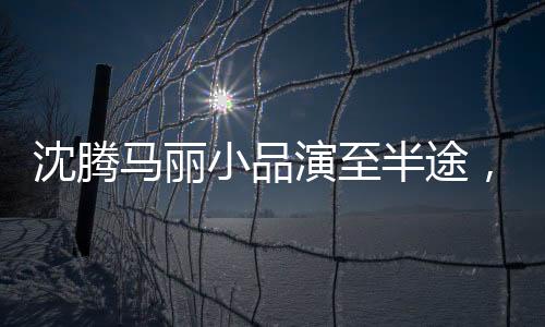 沈騰馬麗小品演至半途，引發(fā)期待熱議，現(xiàn)場(chǎng)觀眾反響熱烈