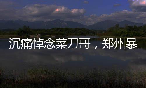 沉痛悼念菜刀哥，鄭州暴雨救人英雄病逝