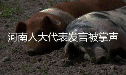 河南人大代表發(fā)言被掌聲打斷三次，背后的故事與思考