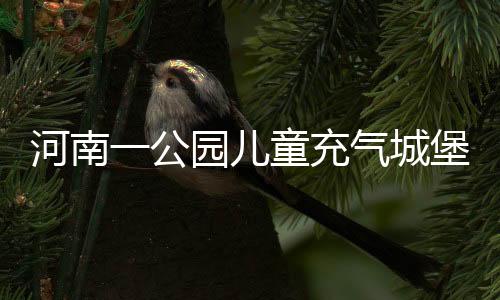 河南一公園兒童充氣城堡突發(fā)塌陷事故