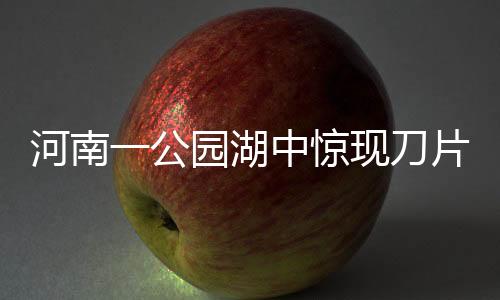 河南一公園湖中驚現(xiàn)刀片，引發(fā)公眾質(zhì)疑